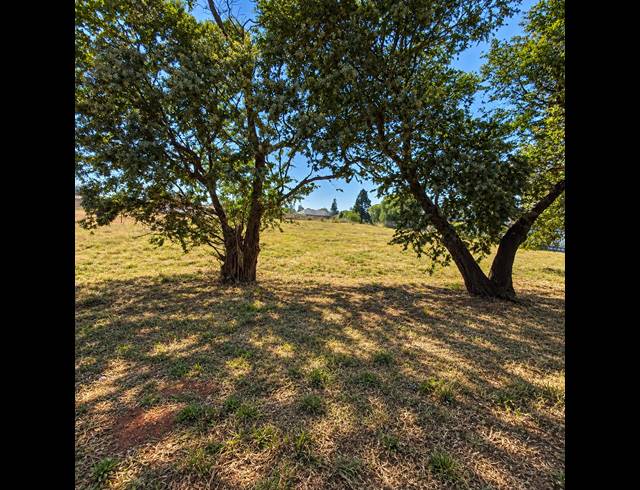 2,649M² VACANT LAND FOR SALE IN HENLEY ON KLIP